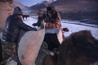 冰封下的呼唤,探寻冬日里的温暖故事