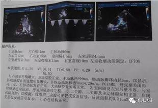 离婚后！她转身收到六胎孕检单,她意外收到六胎孕检单，人生新篇章开启