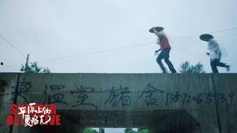 平原上的夏洛克,揭秘神秘案件的智慧侦探之旅